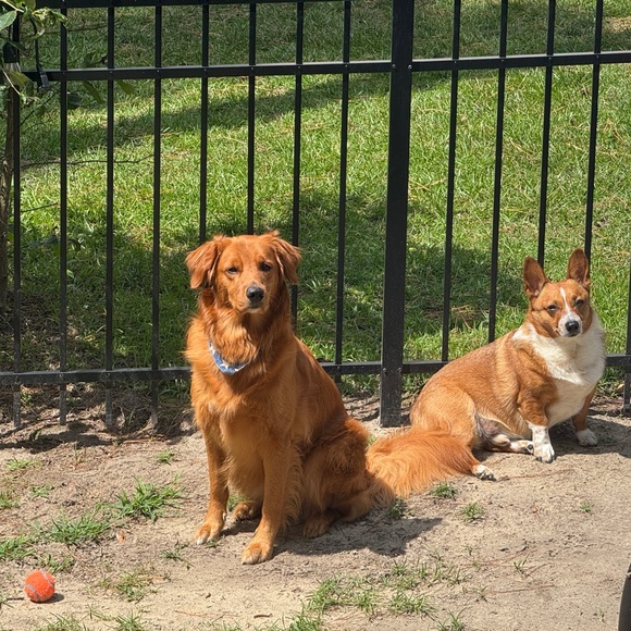 Test - Picture 1 of 1